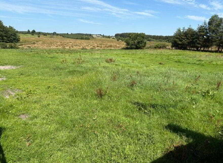 Cloonmaul, Loughglynn, F45YF63