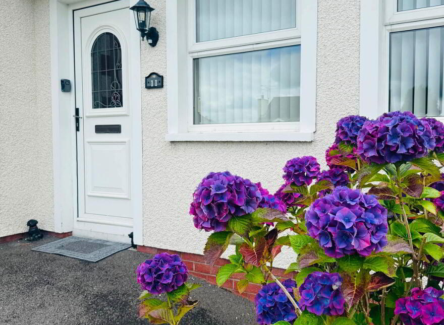 11 Ballynacree Drive, Balnamore, Ballymoney, BT53 7TQ
