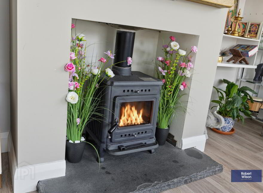 48 Nicholson Green, Donaghcloney, BT66 7UY