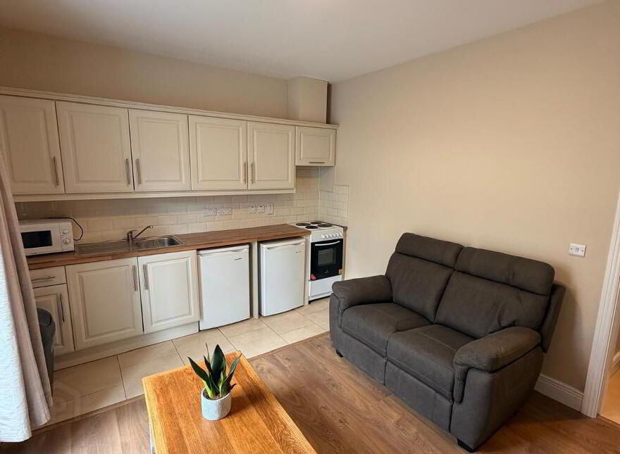 Apartment 1 21 Cecil Street, Limerick City Centre, V94K5P9