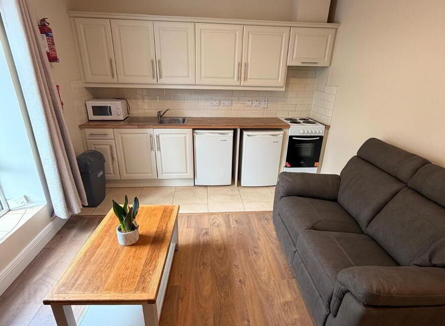 Apartment 1 21 Cecil Street, Limerick City Centre, V94K5P9 photo