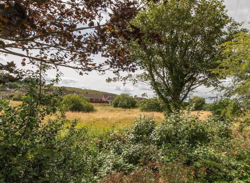 94 Kinedale Park, Ballynahinch, BT24 8YS