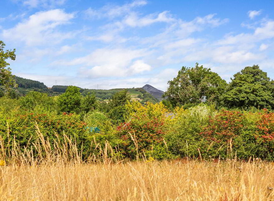 Varenne, Blackberry Lane, Delgany, A63V342