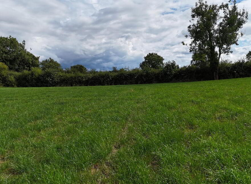 21 Moyrourkan Road, Tandragee, Markethill, BT62 2HD