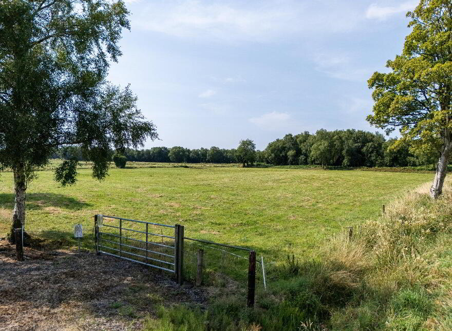 Site At, Clontirm, Mullagh Bog (Ld9122 Plan 4), Carrowrory, N39F2K6