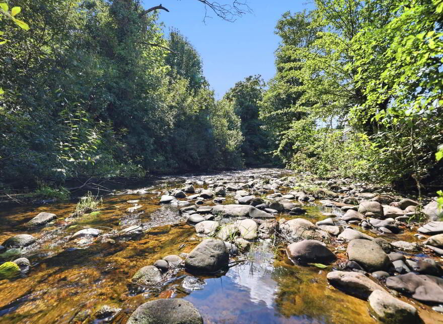 Rahyvira, Donohill, E34WY00