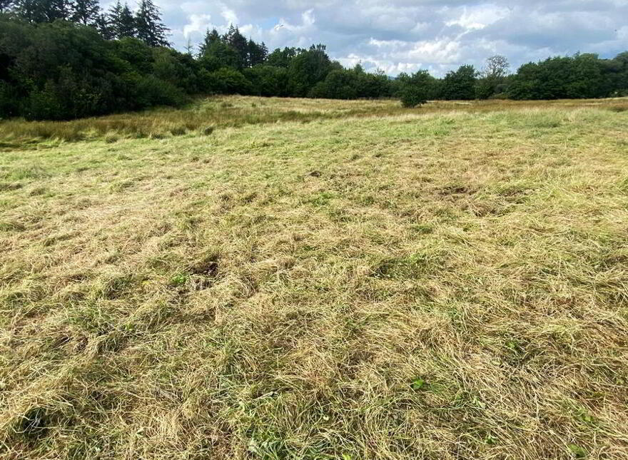 Cranny Lower, Inver