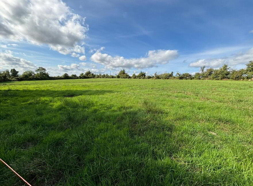 Ballyduffy, Moyne, N39C5C0