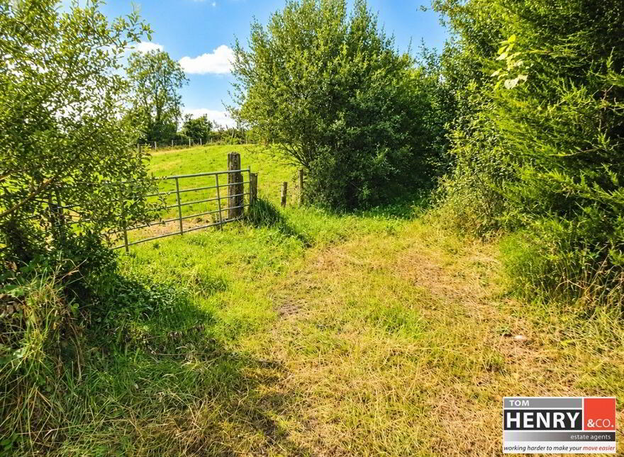 Farriter Road, Killeeshil, Dungannon, BT70 1TL photo