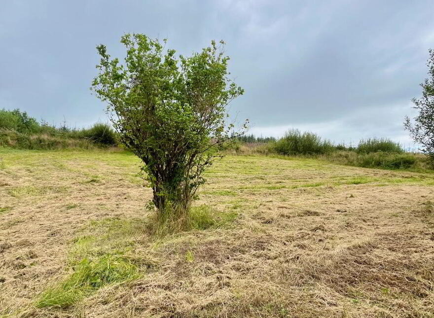 Lough Bo Crossroads, Riverstown, F52XF79