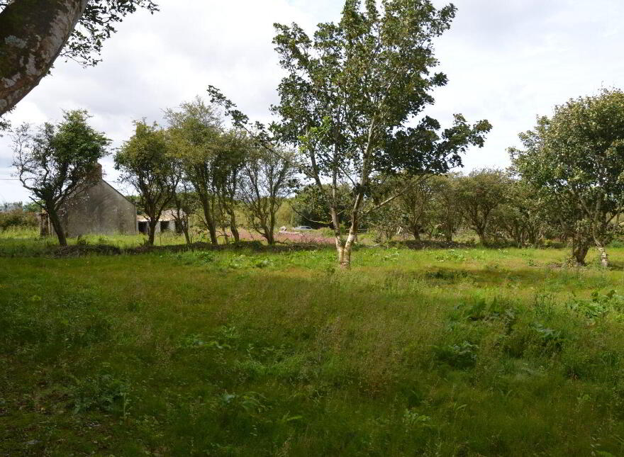 Ballyconnell, Falcarragh