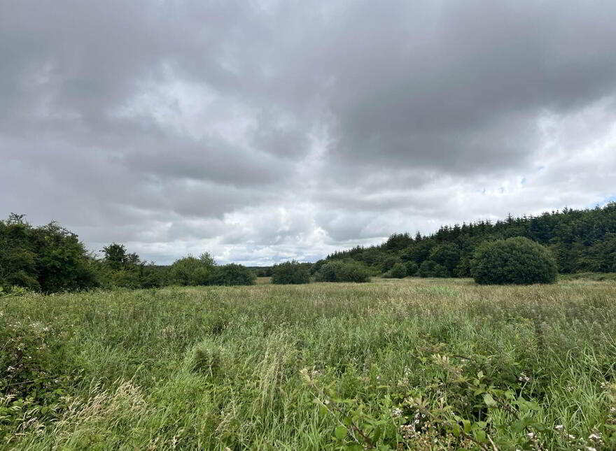 Approx, 4.77 Ha (11, 8 Acres), Ballincurry, Castlerea, F45RF98