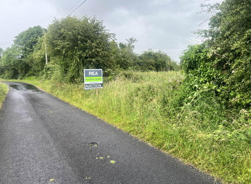 Approx, 4.77 Ha (11, 8 Acres), Ballincurry, Castlerea, F45RF98