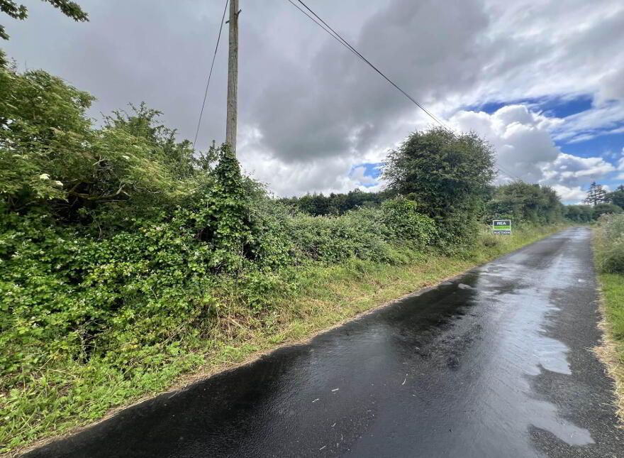 Approx, 4.77 Ha (11, 8 Acres), Ballincurry, Castlerea, F45RF98