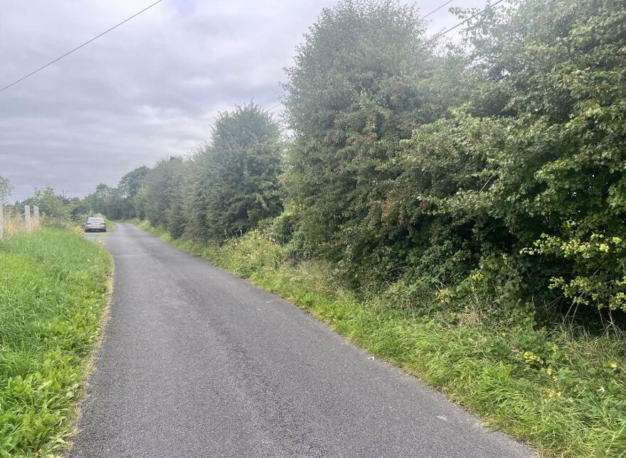 Approx, 4.77 Ha (11, 8 Acres), Ballincurry, Castlerea, F45RF98