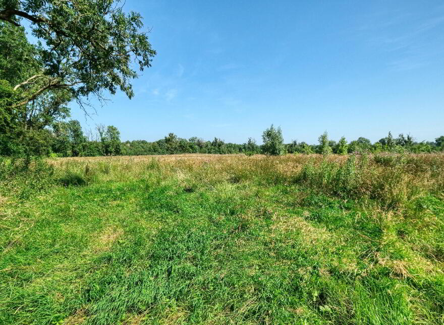 Killinbore, Colehill, N39Y9W6