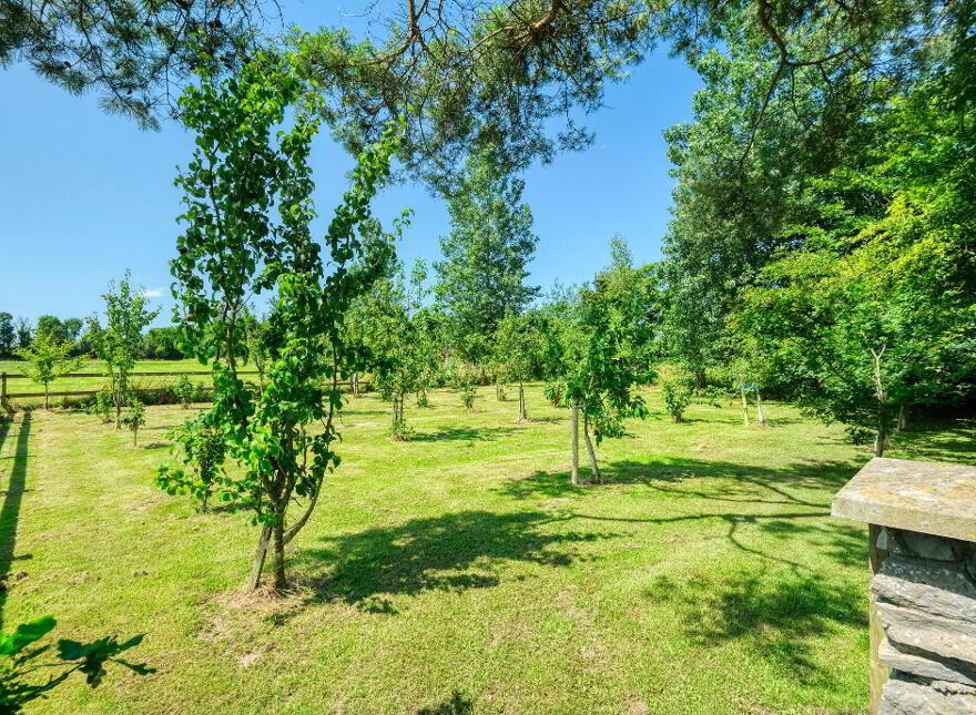 Killinbore, Colehill, N39Y9W6