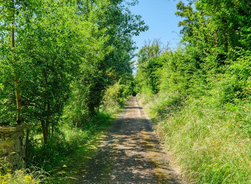 Killinbore, Colehill, N39Y9W6