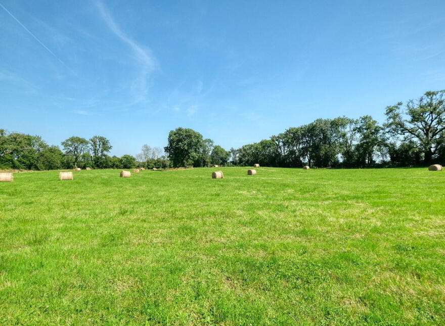 Killinbore, Colehill, N39Y9W6