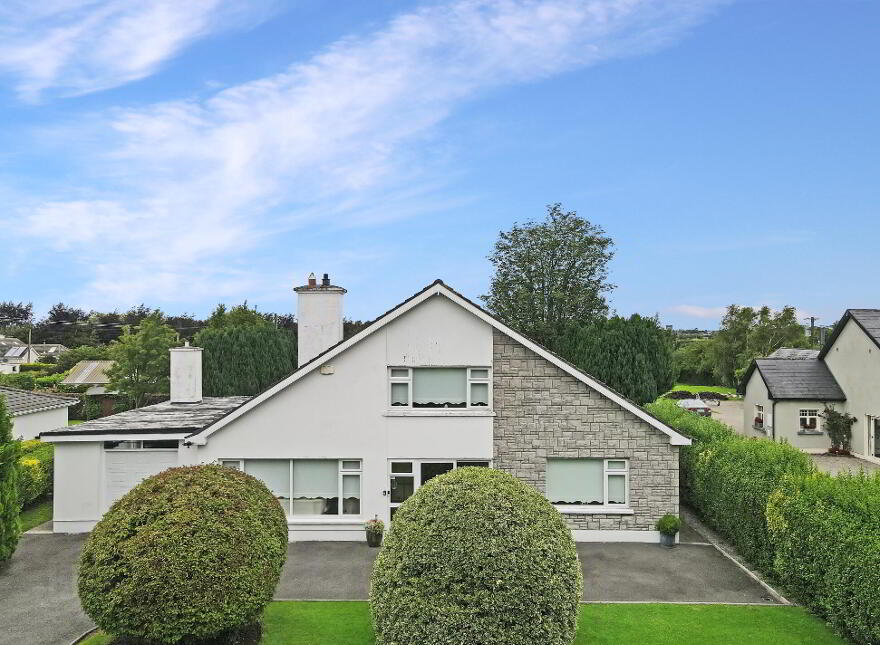 Benedine, Nenagh, E45KX88