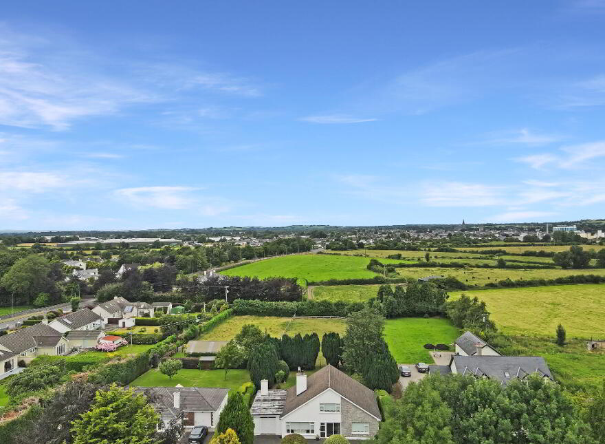Benedine, Nenagh, E45KX88