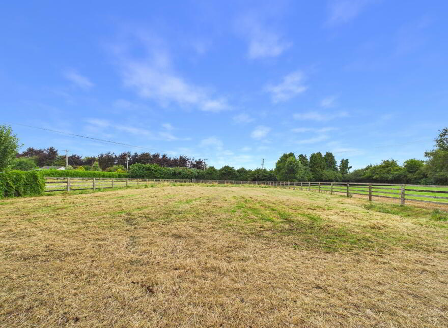 Benedine, Nenagh, E45KX88