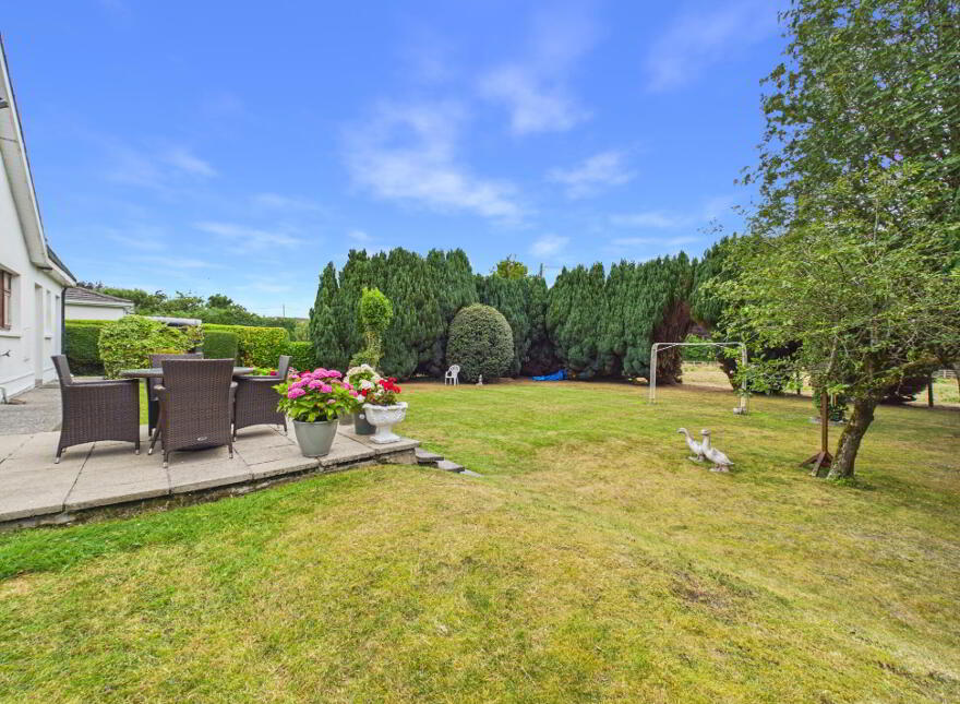 Benedine, Nenagh, E45KX88