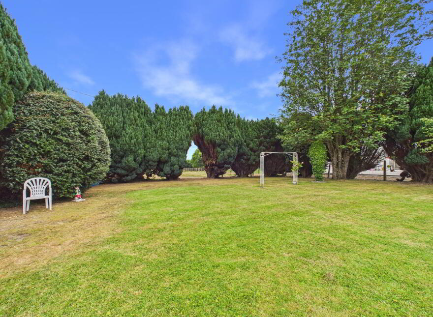 Benedine, Nenagh, E45KX88