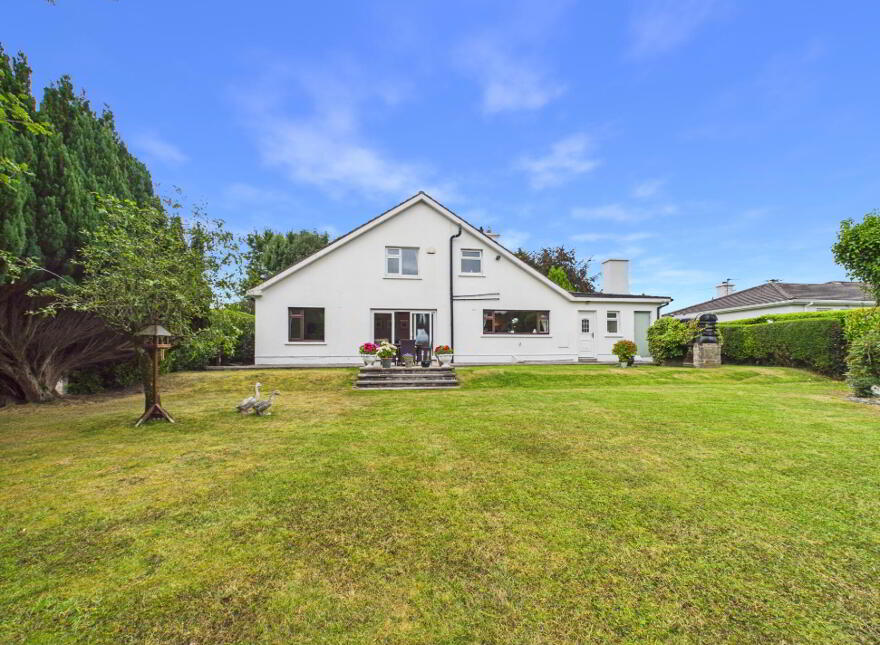 Benedine, Nenagh, E45KX88