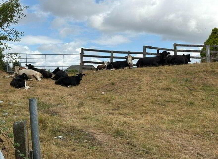 Broadford, Ballynadrumny, Ballynadrumny, W91T3V9