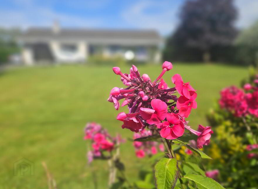 37 Taylorstown Hill, Antrim, BT41 3RL
