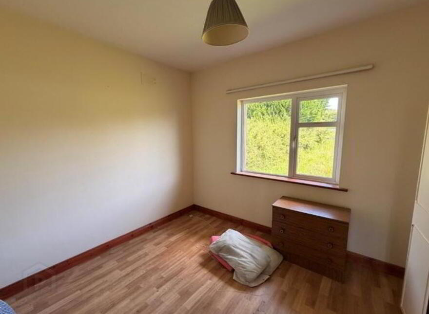 Greaghnafarna, Ballinaglera, N41H018