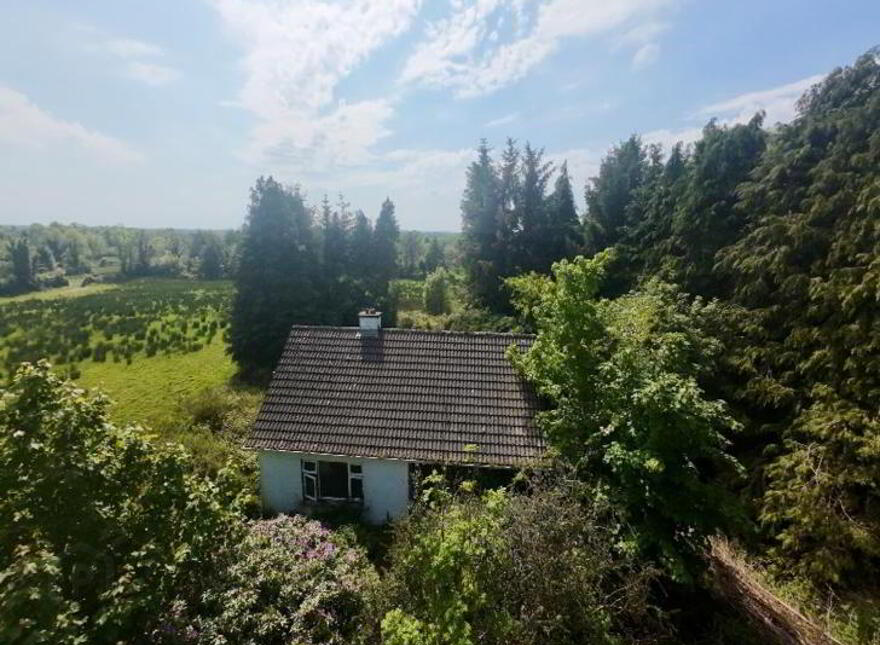 Annaghmore, Mohill, N41H523