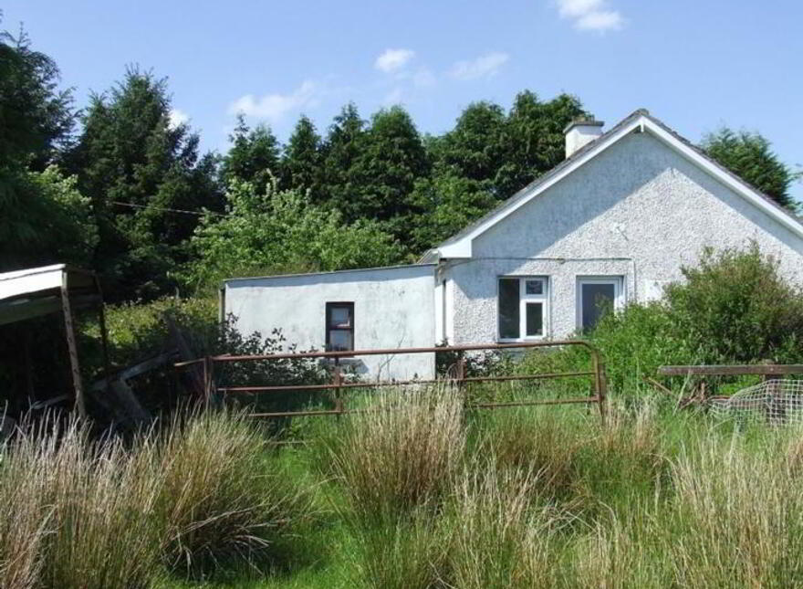 Annaghmore, Mohill, N41H523