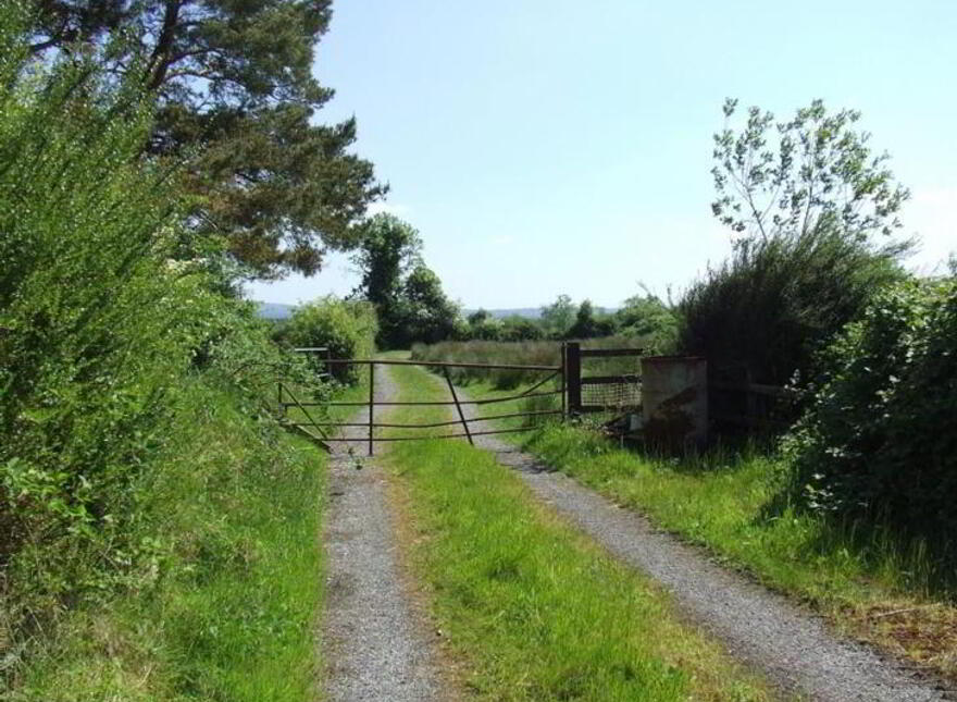 Annaghmore, Mohill, N41H523