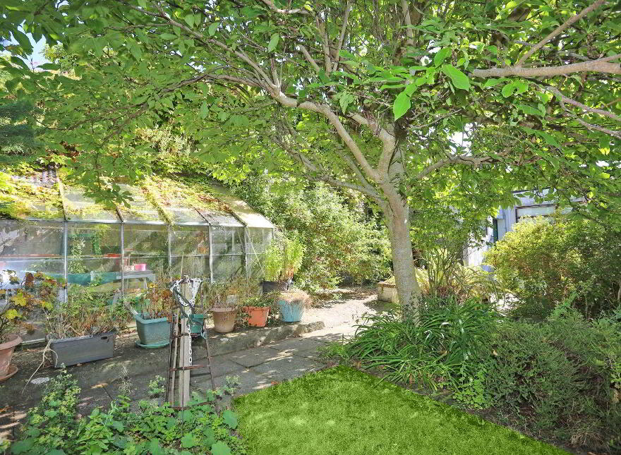 Shalom, South Circular Road, V94Y5WP