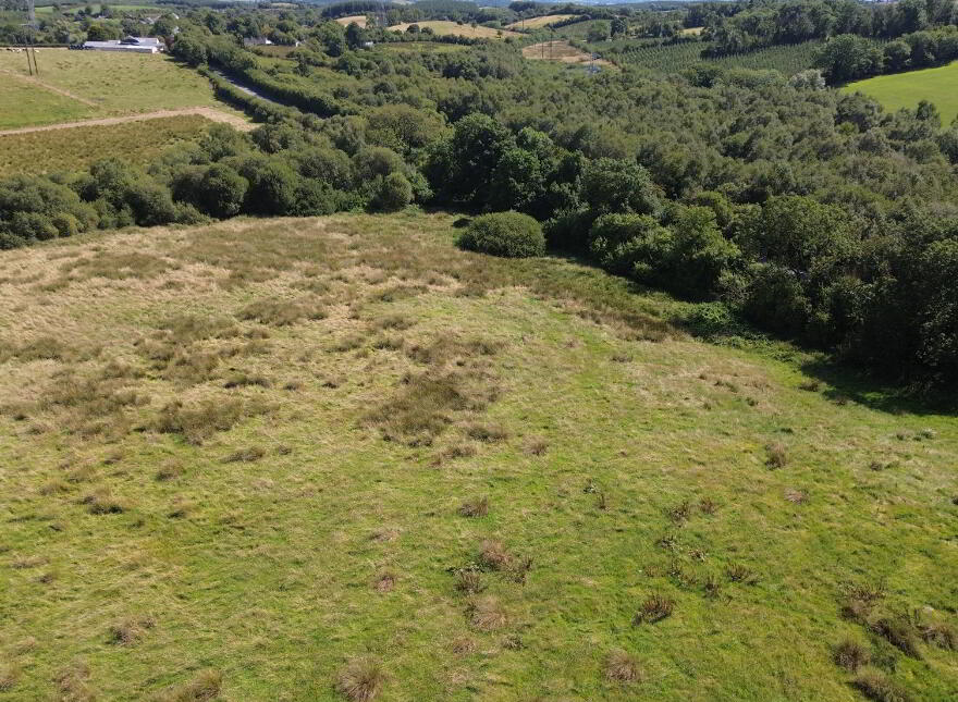 Meath Hill, Drumconrath