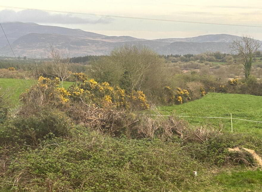 Knocknaskeha, Killarney, V93X466