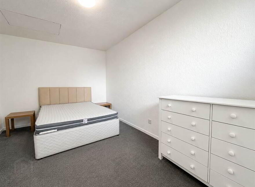 110b Belvoir Drive, Belfast, BT8 7DT
