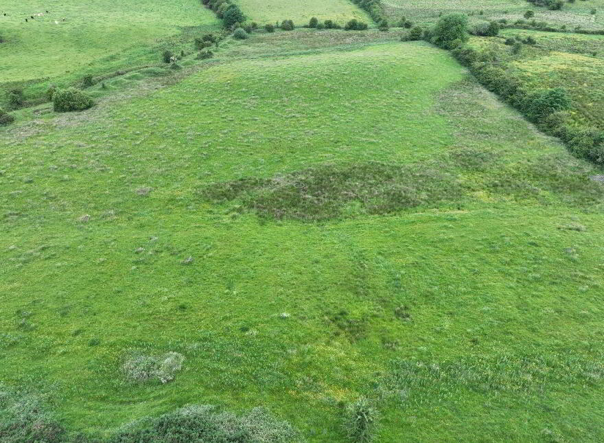 Killoran South, Lavagh, Ballymote