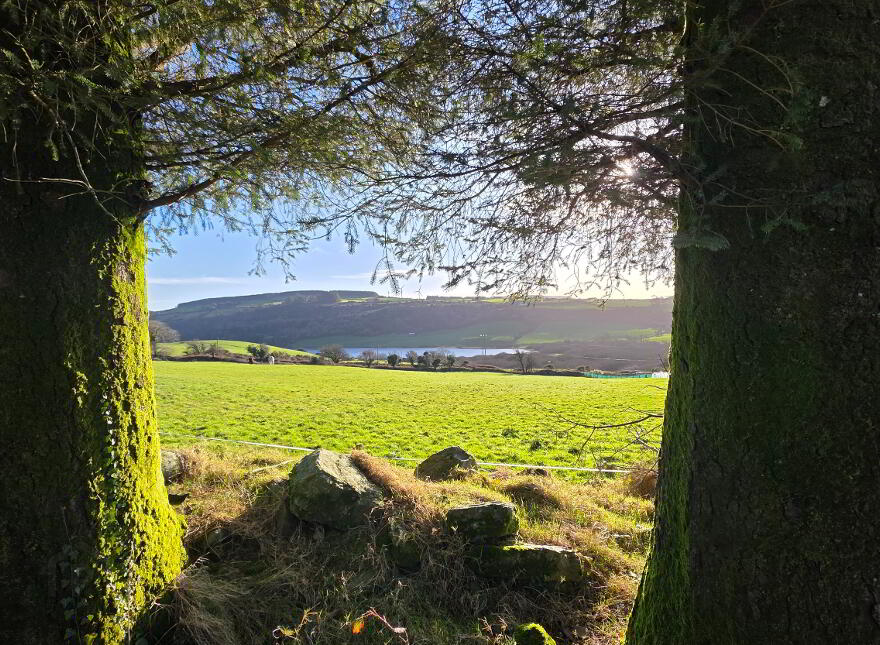 Drinagh West, Dunmanway