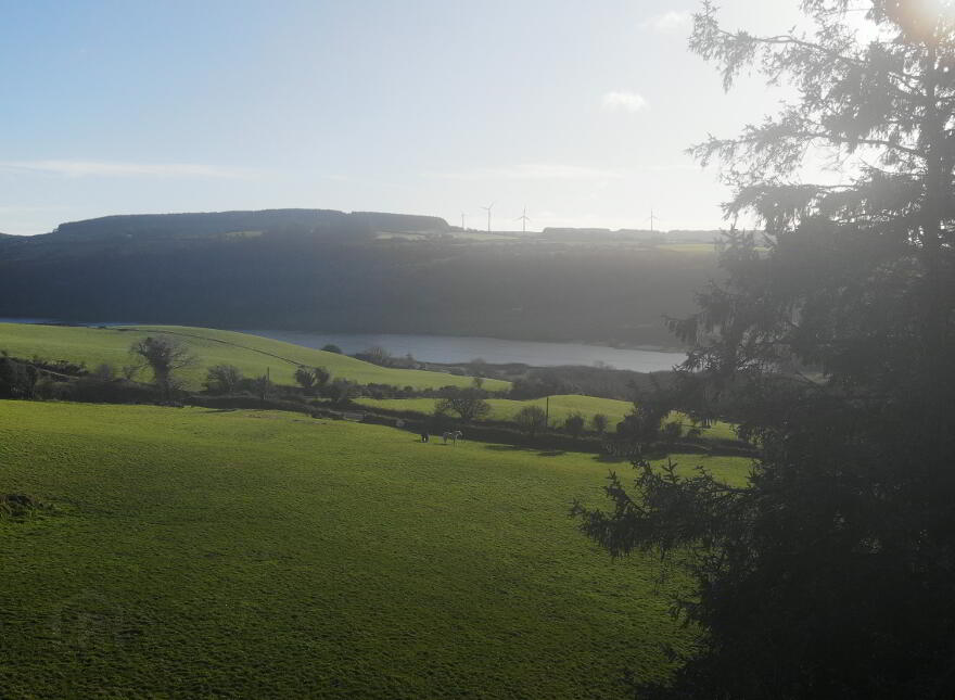 Drinagh West, Dunmanway