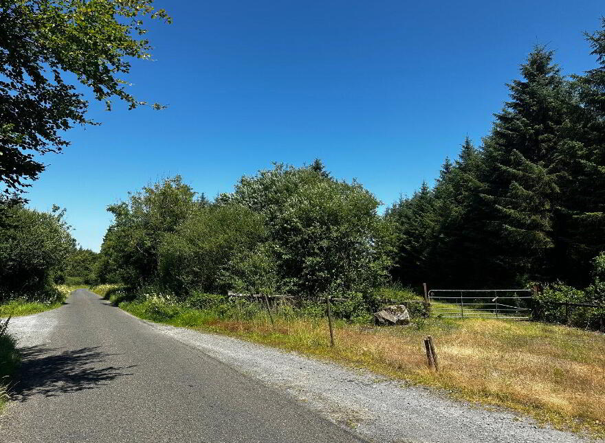 Forestry Land At Smithstown, Mullinavat