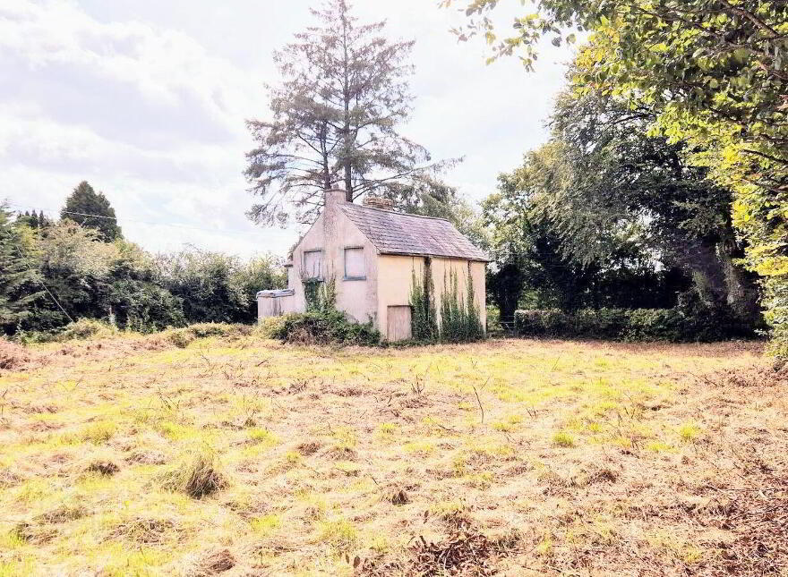 Fohera Lane, Ballinamore