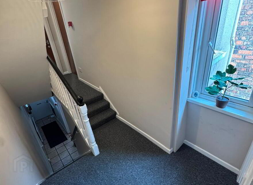 Dunluce Ave, Belfast, BT9 7AZ