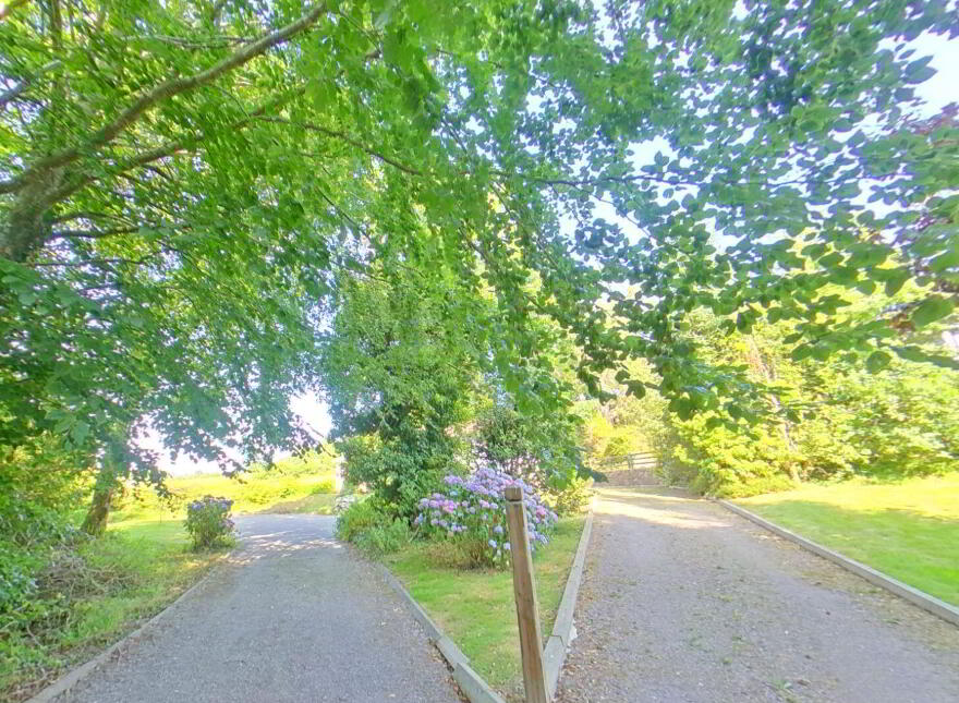Ahalisky, Ballinascarthy, Ballinascarty, P85Y177
