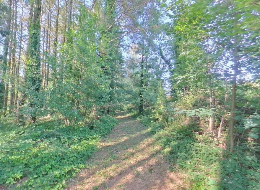 Ahalisky, Ballinascarthy, Ballinascarty, P85Y177