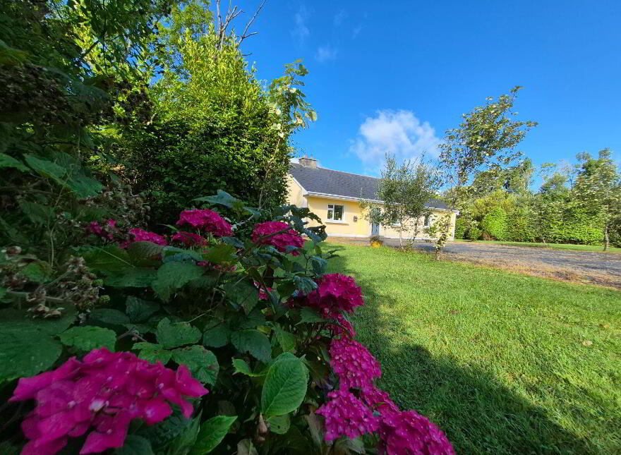 Snip Snip, Ballintleva, Clogher, Westport, F28DK35