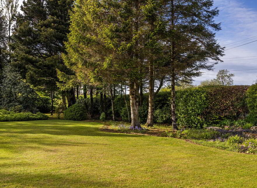 36 Ballynashee Road, Ballyclare, BT39 9SZ