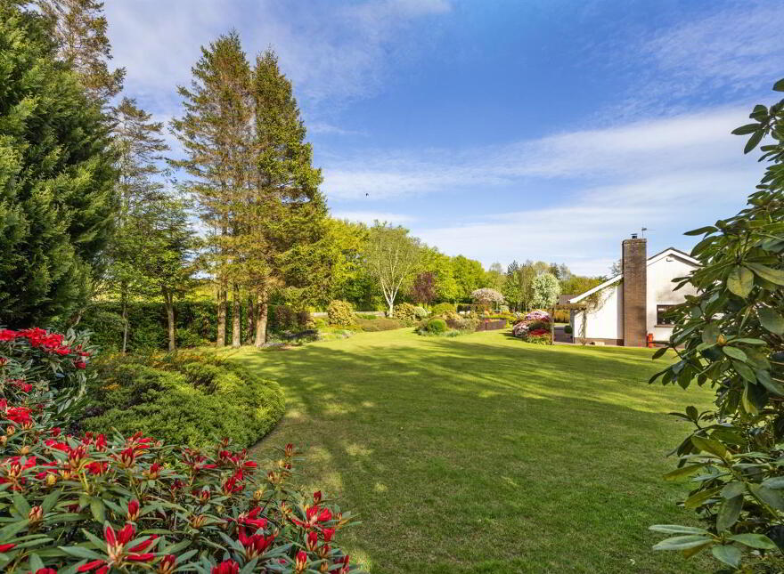36 Ballynashee Road, Ballyclare, BT39 9SZ